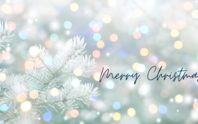 Merry Christmas! Wishing You a Happy and Successful 2026